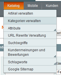 Abbildung-Magento-Onlineshop-richtig-planen-menu-katalog